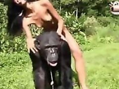Monkey Animal Porn